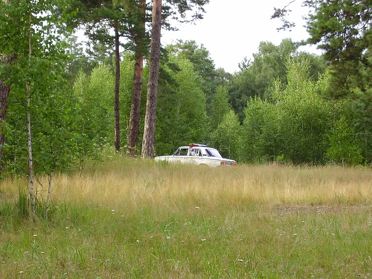 Kiev-Militsiya-forest