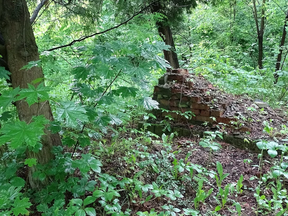 Section of Killing Ground - Memorial to Janowska Death Camp - Lviv - Ukraine - 01 (27379530135) (2)
